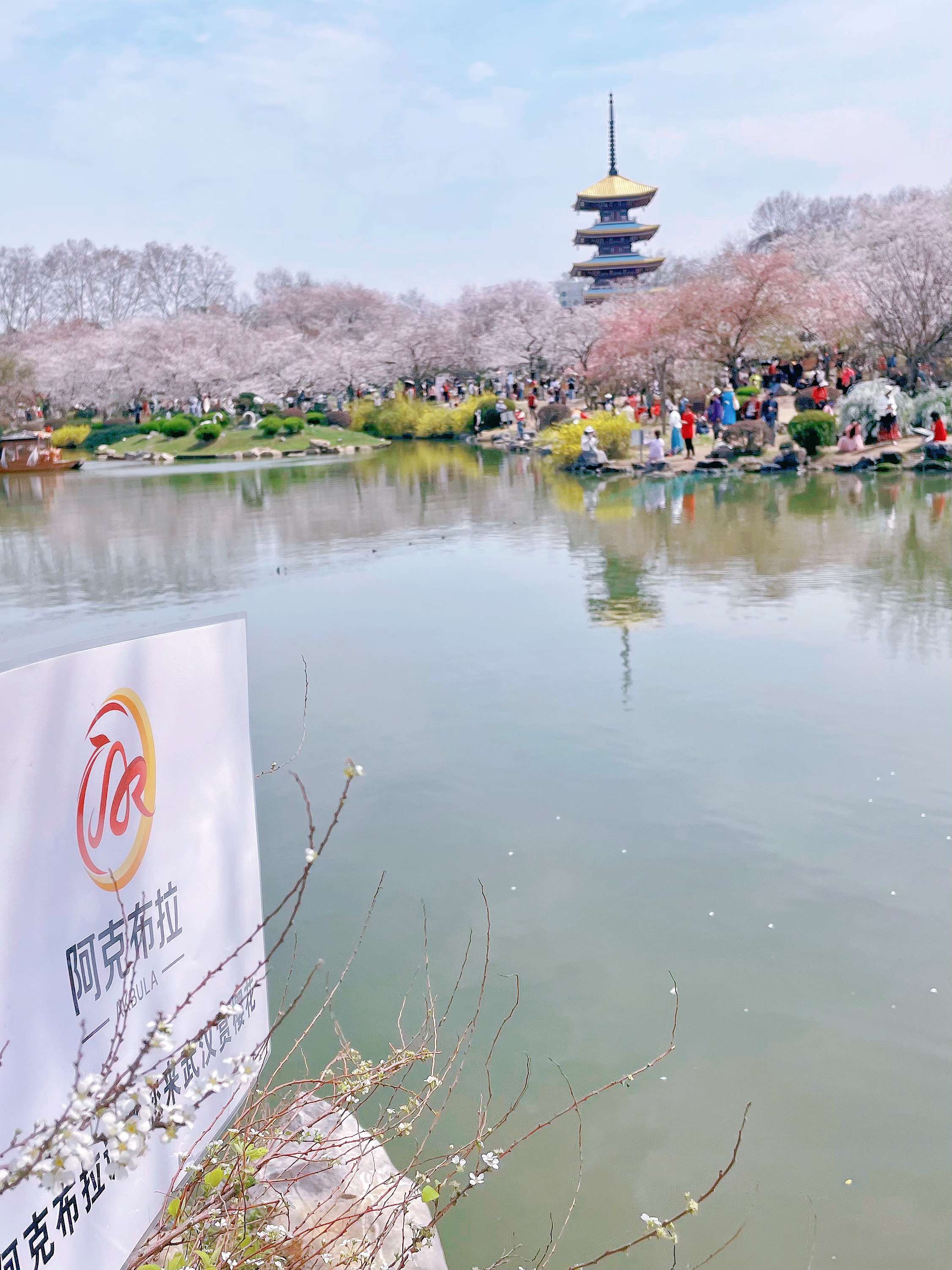 微信图片_20240325100449_副本