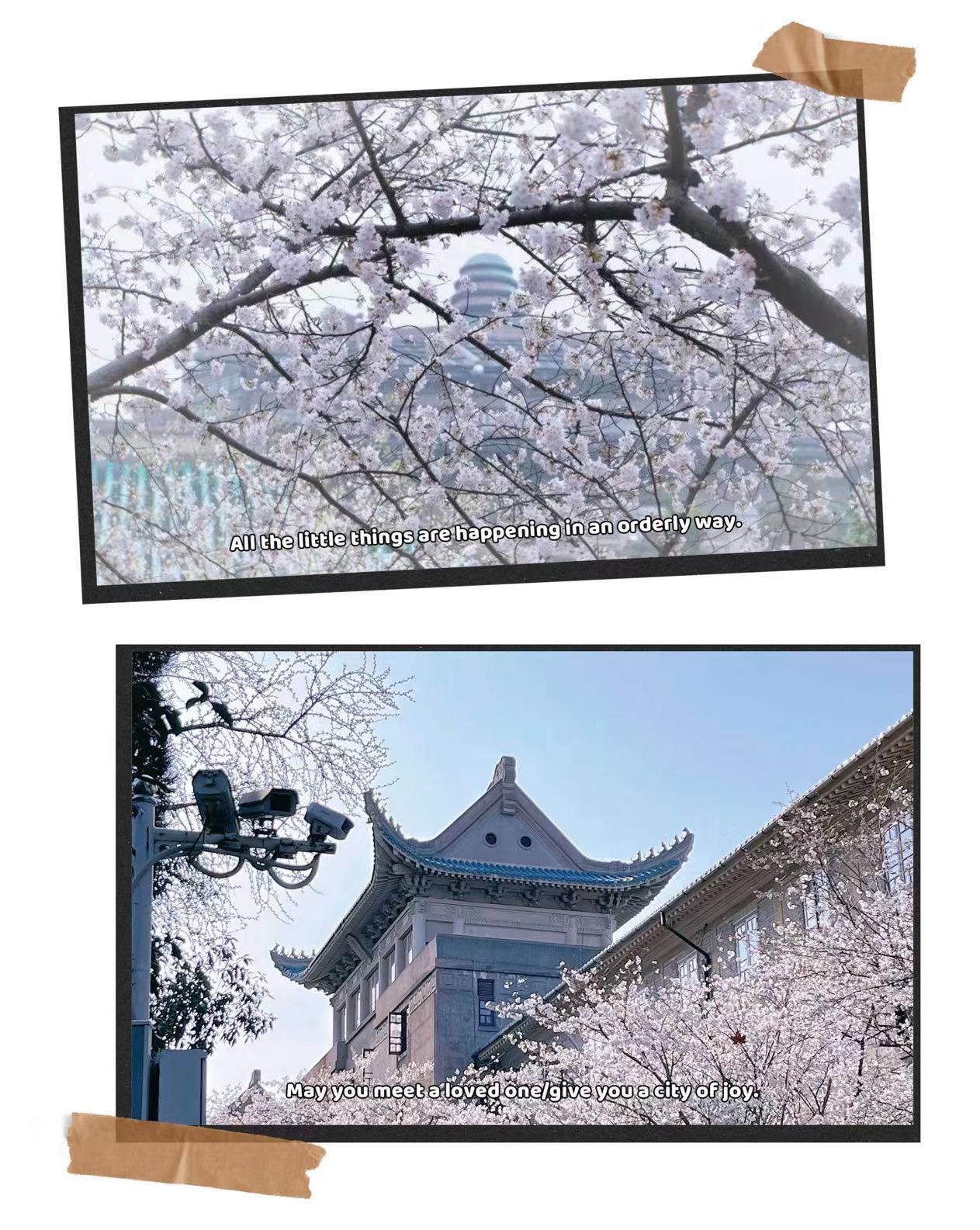 2微信图片_20240416155758